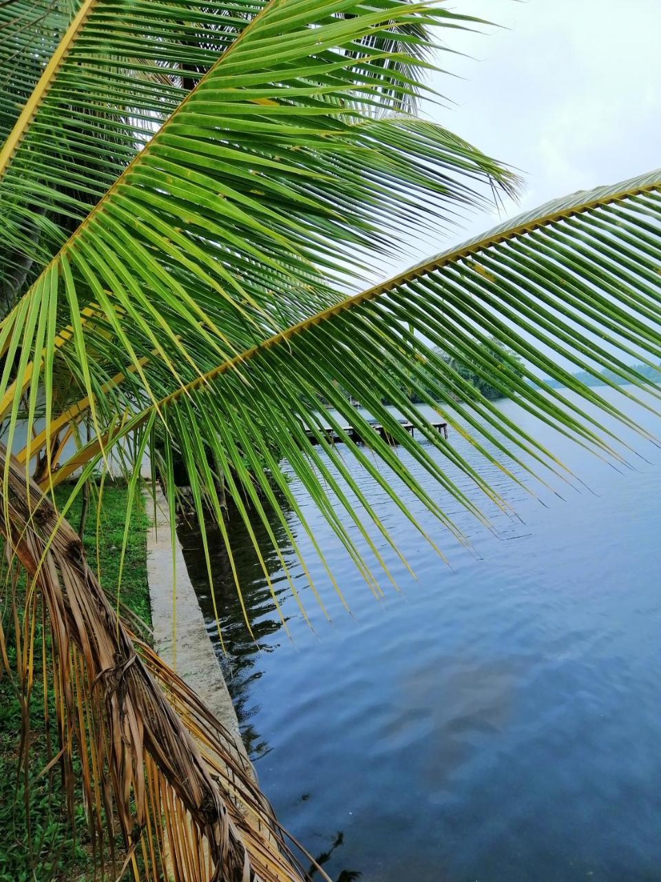 Hikka Lagoon هيكادوفا المظهر الخارجي الصورة