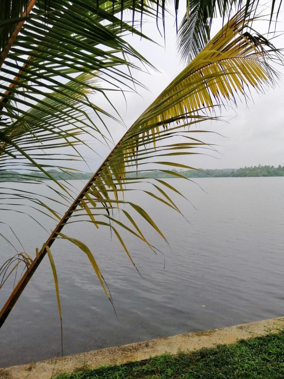 Hikka Lagoon هيكادوفا المظهر الخارجي الصورة